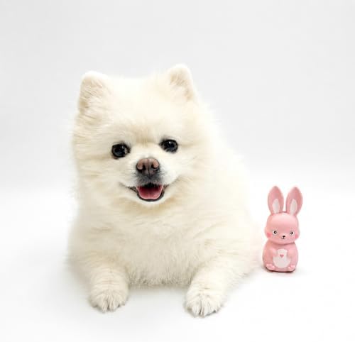 Rubber Squeaky Dog Toys, Latex Dog Squeaky Toys, Easter Bunny Dog Toy, Love Struck Bunny, Small (Pink)