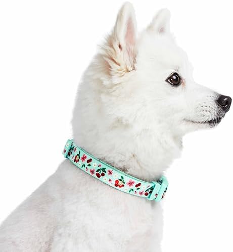 Cherry Garden Dog Collar with Dainty Flowers