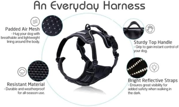 rabbitgoo Dog Harness, No Pull for Large Dogs with 2 Leash Clips, Pet Vest | No Choke with Handle, Adjustable Soft Padded, Reflective, Easy Control for Walking, Black, Large