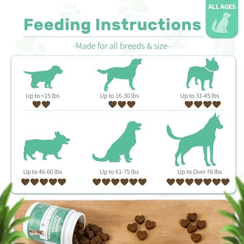 Dog Hip and Joint Supplement, Glucosamine Chondroitin Chews with Green Lipped Mussel Omega 3 Collagen Support Joint Flexibility Pain Relief, Joint Supplements for Small Large Breeds Dogs, 90 Count