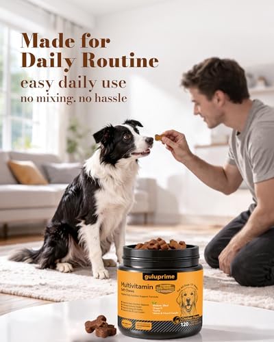 Dog Multivitamin Soft Chews: 5-in-1 Formula with CoQ10, Omega-3 and Lutein | 26 Essential Nutrients to Support Skin & Coat, Heart, Eye, Digestive Health & Daily Nutrition, Chicken Flavor