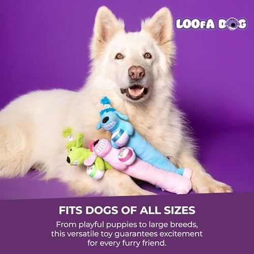 Multipet Loofa Dog Plush Toy w/ Birthday Hat - Squeaky Dog Toy for Dogs - Soft Plush - Stuffed Animal Dog Toys for Playing (1 Count, 12”, Random Color Surprise)