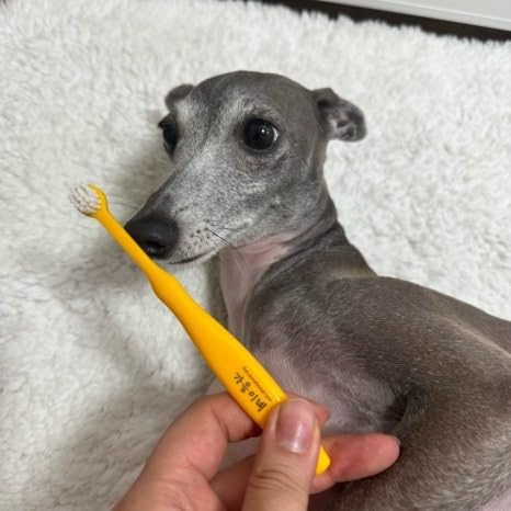 Tiny Small and Medium Dog Toothbrush Made in Korea Brush Bristles That are Soft and Do Not Irritate Your Dog’s Gums Small Toothbrush Grip and Excellent Tartar Removal (4pcs)