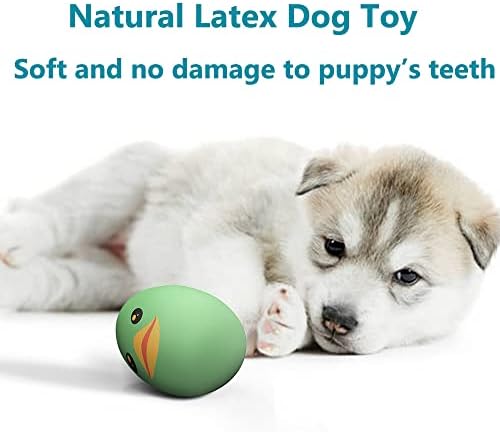 SCHITEC Squeaky Dog Toys, Latex Egg Balls for Puppies Small Medium Dogs | 8 Pack Squeak Puppy Toy, Bouncy Latex Rubber ball, 2.5” Small Size, Built-in Squeaker, Animal Print, Interactive Fetch Play