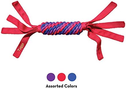 KONG Tugga Wubba Dog Toy, Large (Colors vary)