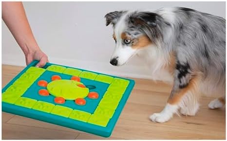 Interactive Dog and Cat Games Treat Hiding Challenge Mental Stimulation with Rewards (15 Inch Multi Puzzle Game)