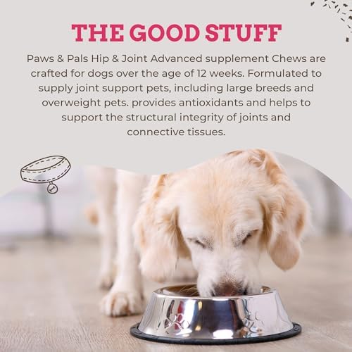 Paws & Pals Glucosamine Chondroitin MSM for dogs 240 Count, Hip and Joint Mobility Soft Chews Supplement, Pain & Inflammation Relief for all breeds - Maximum Strength, Treats Hip Dysplasia & Arthritis