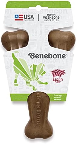 Outward Hound Hide A Squirrel Plush Dog Toy Puzzle (Large) and Benebone Wishbone Durable Dog Chew Toy (Medium)