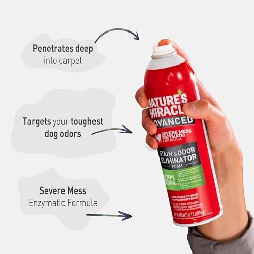 Nature's Miracle Advanced Dog Stain & Odor Eliminator Foam, 17.5 oz (6 Pk)