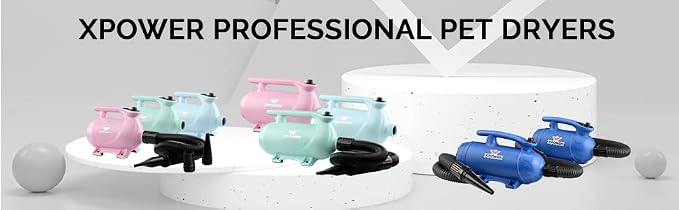 XPOWER B-163 High Velocity Pet Dryer (Mint Green)