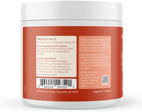 Reggie Hip & Joint Supplements for Dogs | Glucosamine, MSM & Chondroitin for Mobility, Cartilage & Pain Relief | Natural Dog Joint Support Chews | Vet-Approved & Made in USA | 60 Soft Chews