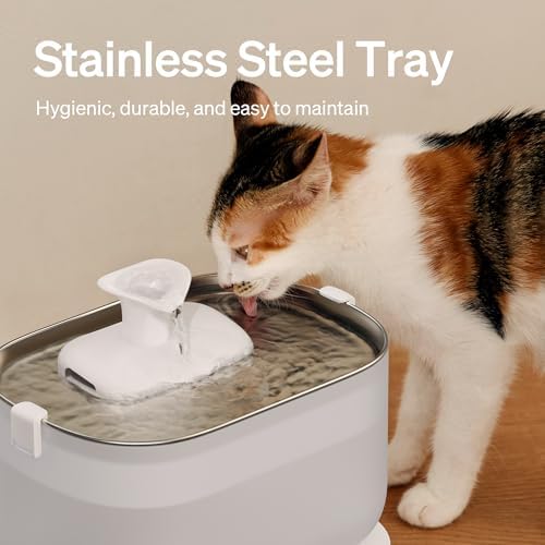 PETLIBRO Corded Cat Water Fountain + 8 Pack Filters, 8-Pack, 2.5L, Stainless Steel, White