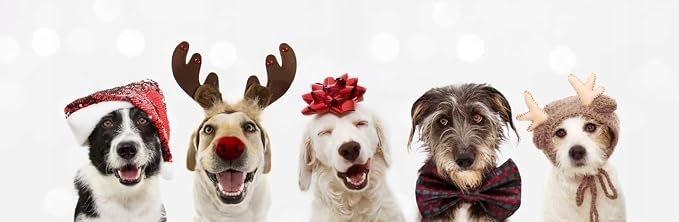 ZippyPaws Burrow Christmas Dog Toy - Plush Squeaky Holiday Dog Gifts for Small & Medium Puppy Dogs, Interactive Hide & Seek Stocking Stuffers for Pets - Yeti Mountain & Snowflake