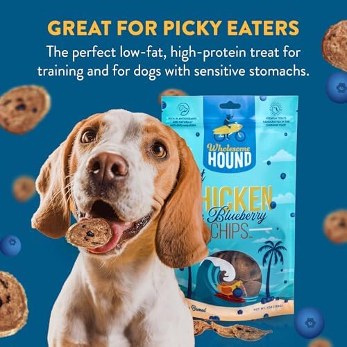 Chicken Blueberry Chips Dog Treats, 2-Ingredient, 7oz