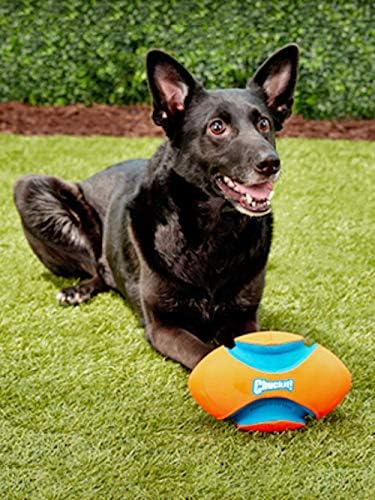 Chuckit! Fumble Fetch Dog Football - Outdoor and Indoor Interactive Dog Toy with Grooved Design for Easy Pickup - Made from Durable Rubber - Floats in Water - Small - Orange and Blue (Pack of 6)