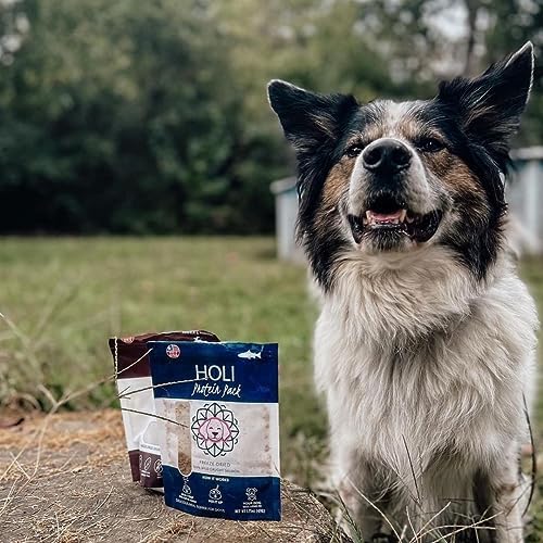 HOLI Freeze-Dried Elk & Venison Dog Treats - 6oz