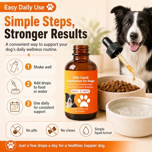 Dog Longevity Supplement with NMN, NAD+, CoQ10 & Resveratrol