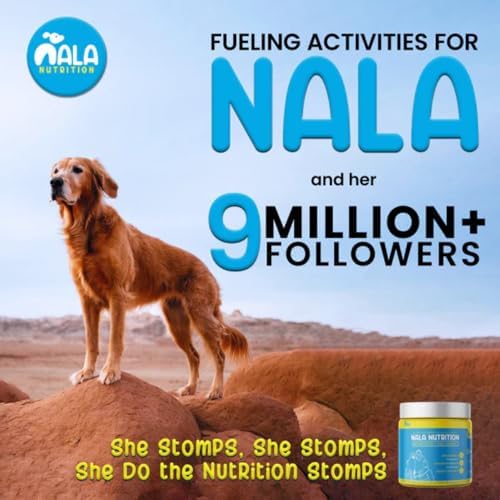 Dog Hip and Joint Supplement - with Vitamins, Glucosamine and Chondroitin | Pet Joint Supplement for Mobility and Health | 120 Scoops