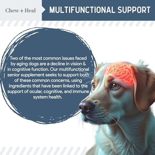 Senior Dog Vision and Cognition Supplement, 120 Eye Care and Memory Chews | Senior Dog Vision and Cognition Chews - 7-in-1 Multivitamin with Omega Fatty Acids, Vitamins, and Botanicals
