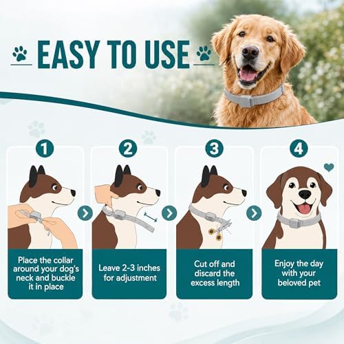 Calming Collar for Dogs, 6-Pack, 25 Inch, Grey