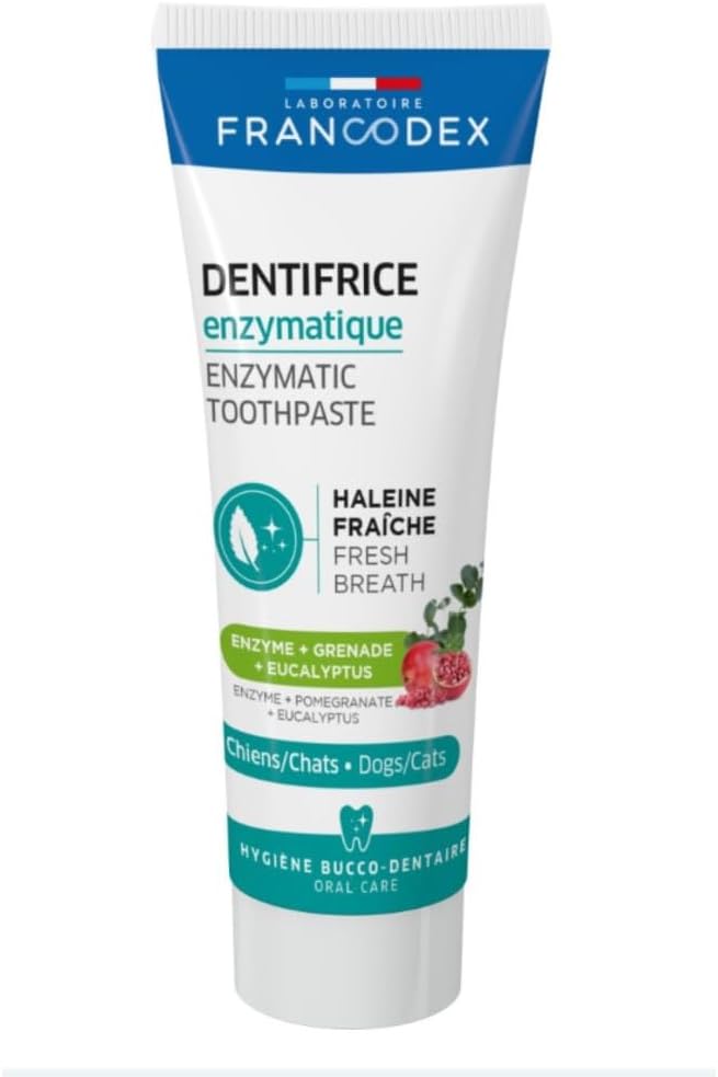 FRANCODEX Kit de brossage des dents