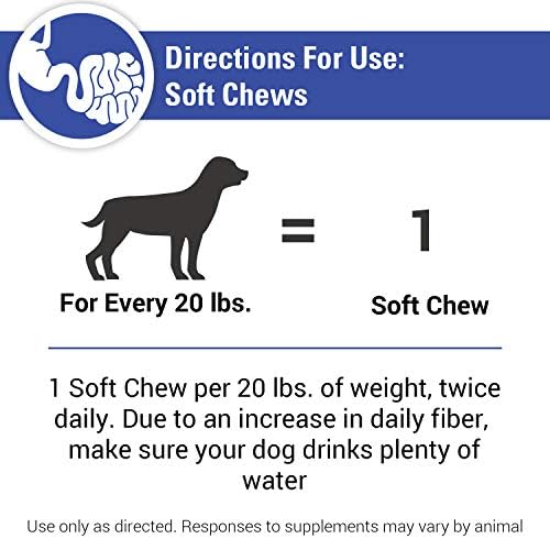 Vet Classics No Scoot for Dogs, Healthy Anal Support - 120 Soft Chews