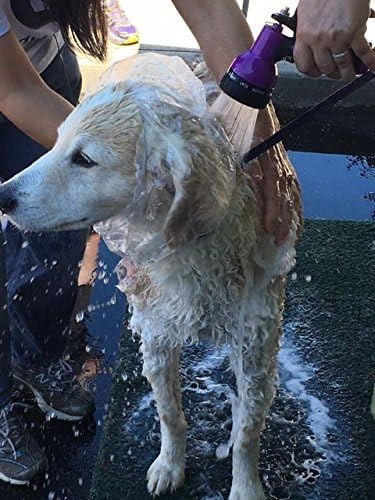 Disposable Pet Shower Caps, Shower, Raining, Swimming, Dogs, 1 Pack each(Large & Small)