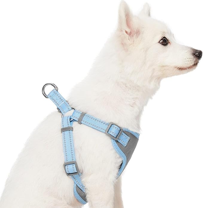Blueberry Pet Matching Reflective Harness and Leash Set | Adjustable Pastel Vest with Lead for Dogs – Great Value Gift Set | Adjustable Baby Blue Vest for Small Breeds