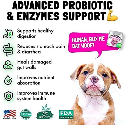 LEGITPET Hemp Hip & Joint Supplement for Dogs and Probiotics for Dogs with Natural Digestive Enzymes 120 + 120 Soft Chews Bundle - Natural Pain Relief and Mobility - Anti Diarrhea - Made in USA