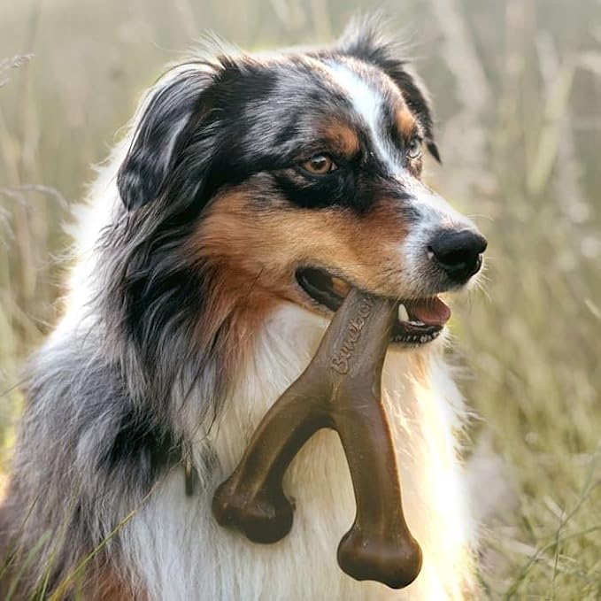 Benebone Medium 2-Pack w/Wishbone & Dental Chew Bacon Flavor Dog Chew Toys