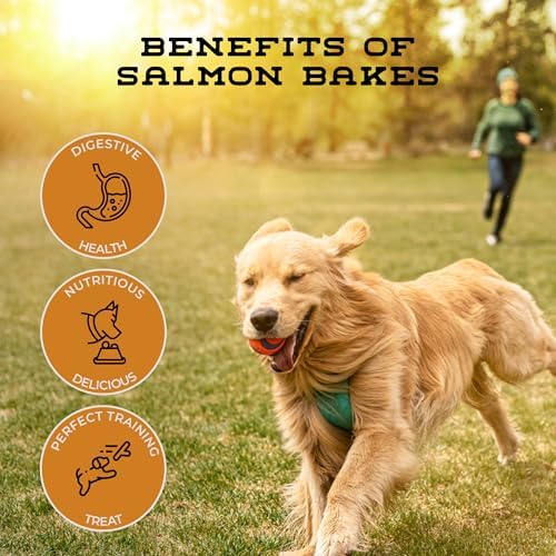 Salmon Bakes Grain Free Natural Dog Treats for Small to Large Breed - Low Calorie for Training - High Value, Healthy Dog Treats for Small, Medium & Large Dogs (16oz)