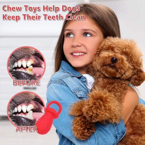 Latex Chew Dog Toys, Novelty Squeaky Pacifier Dog Toys, 5.2" Durable Pacifier Dog Chew Toys for Small and Medium Dogs(Red,1 Pcs)