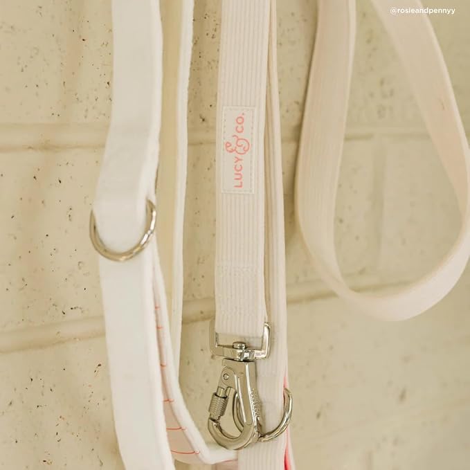 Lucy & Co. Ivory Corduroy Dog Leash, Durable Dog Lead with Heavy Duty Hardware, Large