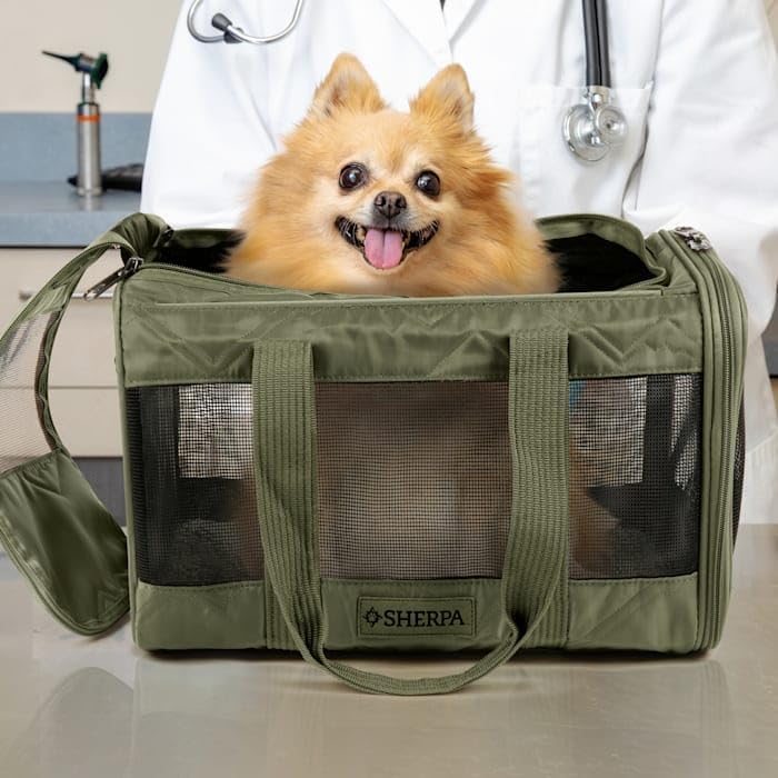 Sherpa Deluxe Guaranteed On Board Soft-Sided Dog & Cat Carrier, Green, Medium