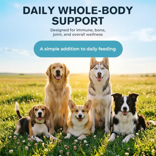 Lactoferrin Supplement Powder for Dogs, Immune, Bone & Joint Nutrition