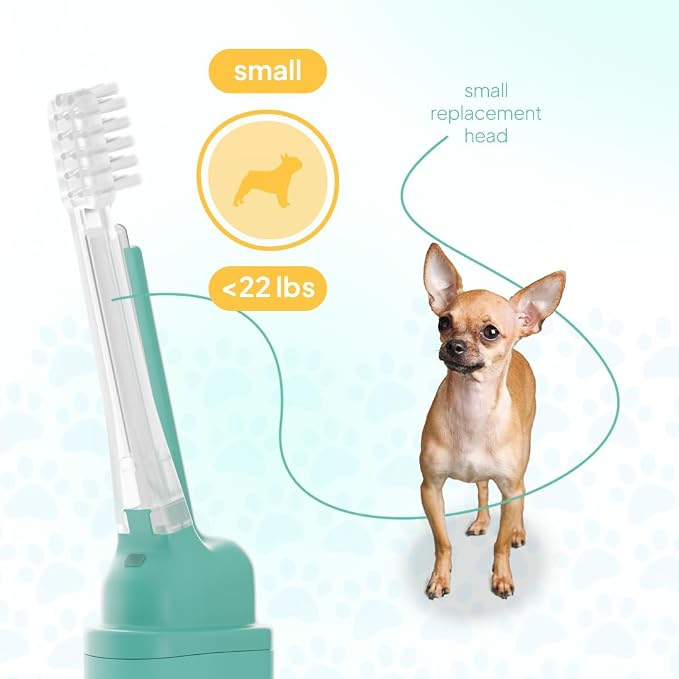 Dog Toothbrush Replacement Heads | 2 Pack | Replace Every Three Months | Reduces Bad Breath | Compatible with Petsie Toothbrush Only (White, Small Dogs)