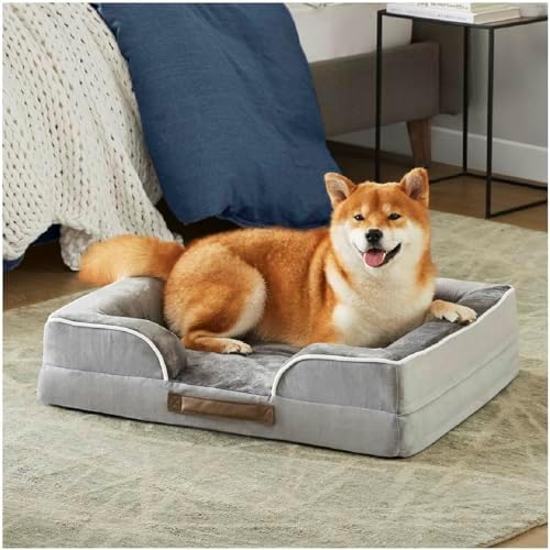Friends Forever Orthopedic Dog Bed for Medium Dogs, Waterproof Memory Foam Dog Sofa Bed M with Removable Washable Cover, Ally Grey, 28x23x6.5