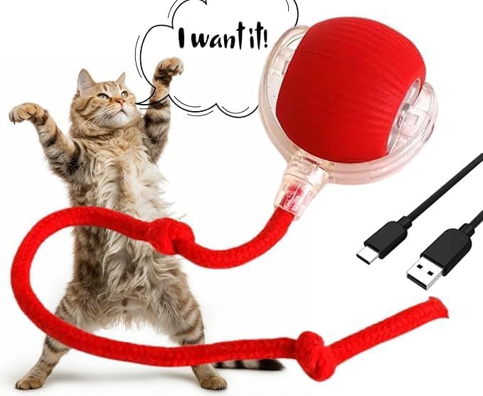 Automatic Ball for Small Dogs & Cats - Activated Moving Toy, Rechargeable, Self Play, Ball Toy with Long Tail Teaser