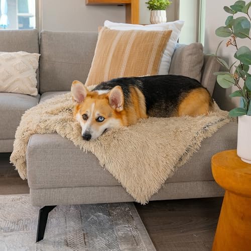 Best Friends by Sheri Dog Blanket, Shag Faux Fur, Taupe, 30" x 40"