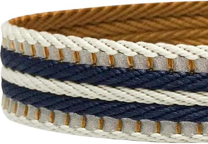 Blueberry Pet 3M Reflective Dog Leash - Soft & Comfortable Handle, Strong & Durable Nylon, Olive & Blue-Gray