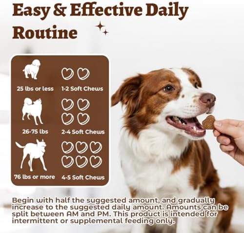 Salmon Oil Skin&Coat Supplement for Dogs-Omega 3 Fish Oil