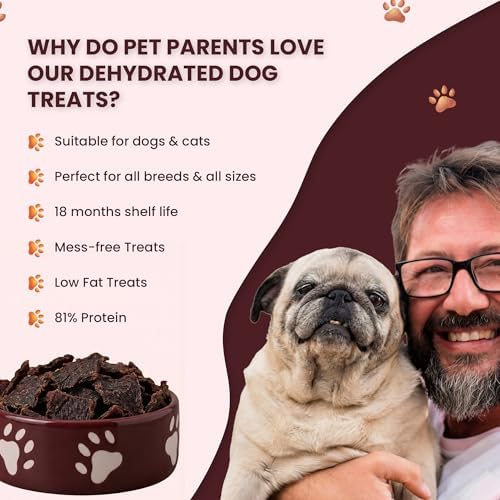 Beef Chips for Dogs | Single Ingredient Beef Jerky Natural Dog Treats, 4oz