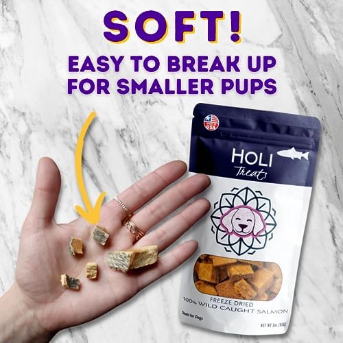 HOLI Freeze-Dried Wild Caught Salmon Dog Treats