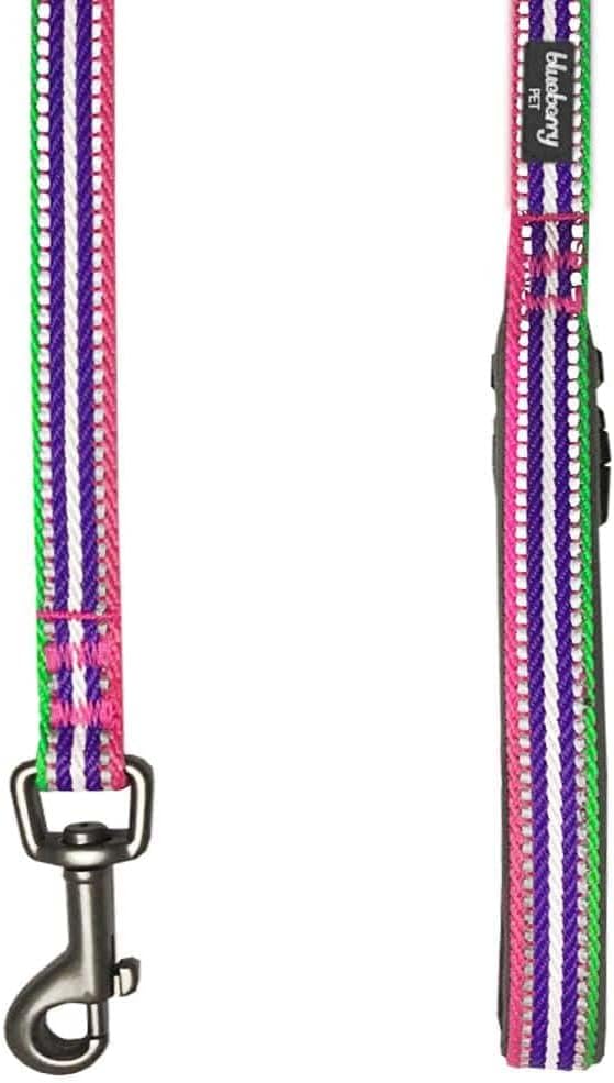 Blueberry Pet Dog Leash - Reflective, Strong & Comfortable | Pinch Collar for Dogs & Puppy Essentials | Heavy Duty Dog Leashes for Large & Medium Size | Gentle Leader Products