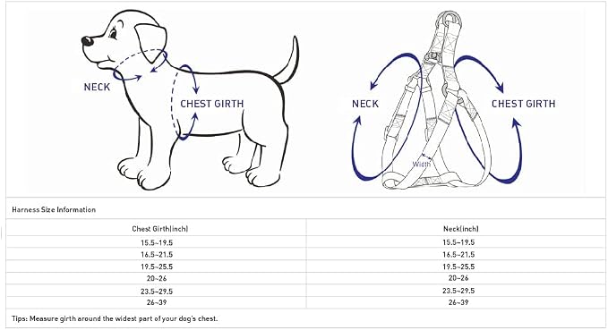 Blueberry Pet Soft & Comfy 3M Reflective Step-in Pastel Color Padded Dog Harness, Chest Girth 19.5" - 25.5", Baby Pink, Medium, Adjustable Harnesses for Dogs