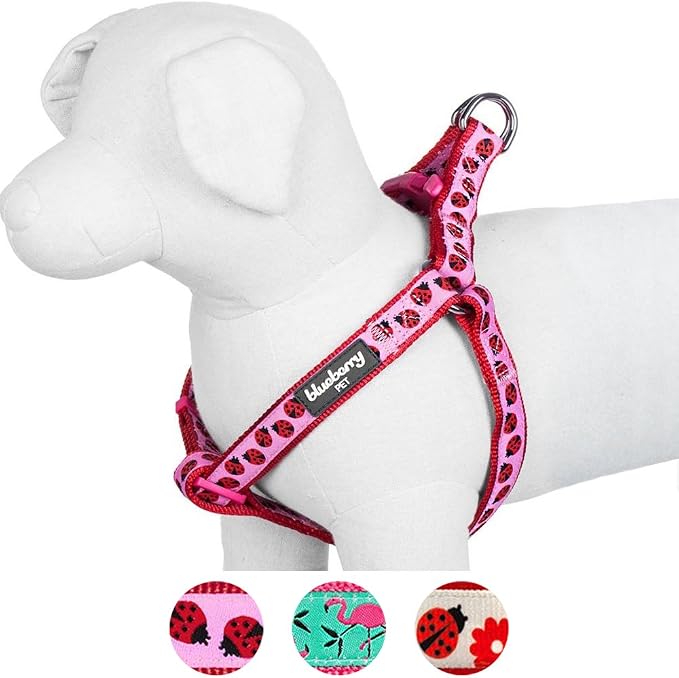 Blueberry Pet Essentials 2 Patterns Step-in Ladybug Designer Dog Harness, Chest Girth 16.5" - 21.5", Small, Adjustable Harnesses for Dogs