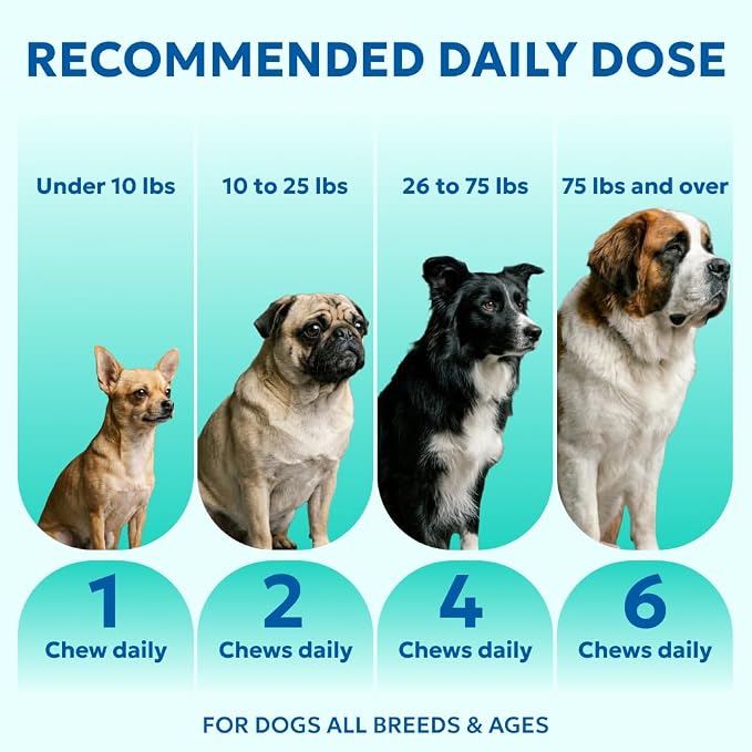 Forticept Allergy & Immune Probiotics for Dogs, Support Seasonal Allergies, Gut & Digestive Health - Enzymes, Colostrum, and Omega 3 Helps with Hot Spot and Yeast, Itch Relif