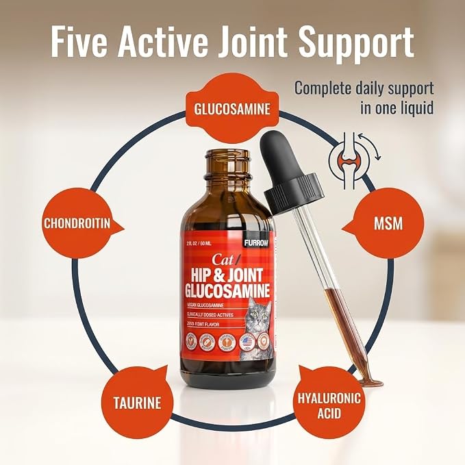 Furrow Liquid Glucosamine for Cats and Small Dogs — Hip & Joint Supplement with MSM, Chondroitin, Taurine & Hyaluronic Acid, Chicken Gravy Flavor — Joint Support for Pets Under 22 lbs