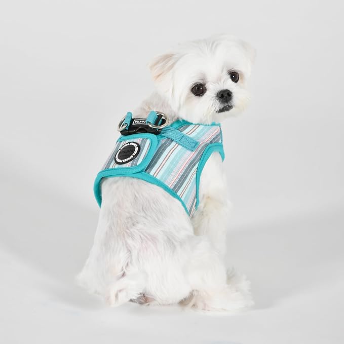 Puppia Theros Dog Vest Harness B (Step-in) Fashionable Striped Pattern Spring Summer Harness for Small and Medium Dogs, Aqua, Medium