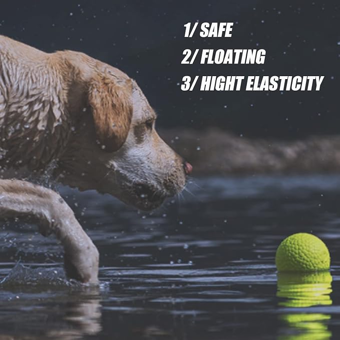 Dog Ball Toy for Aggressive Chewers, Indestructible Floating, Large Dogs